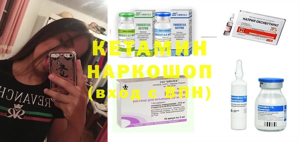 шишки Пересвет