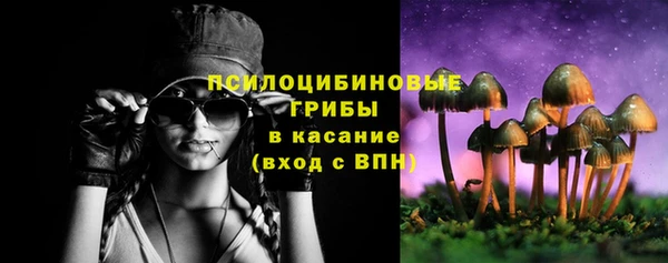 шишки Пересвет