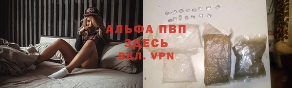 шишки Пересвет