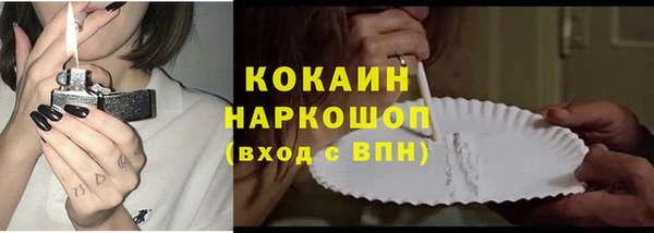 шишки Пересвет