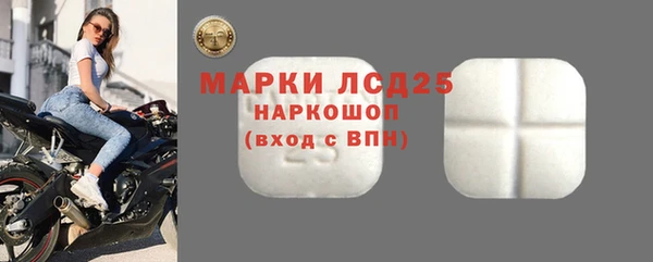 шишки Пересвет