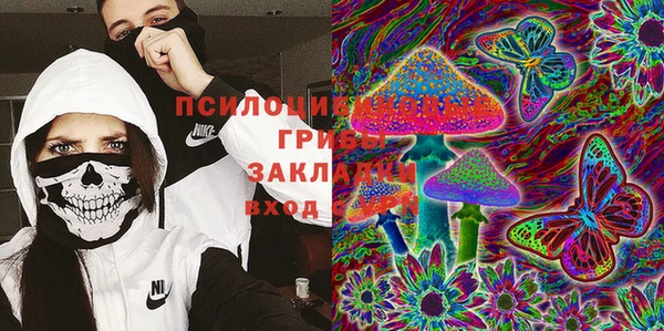 шишки Пересвет