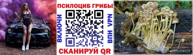Галлюциногенные грибы MAGIC MUSHROOMS  мориарти как зайти  Светогорск 
